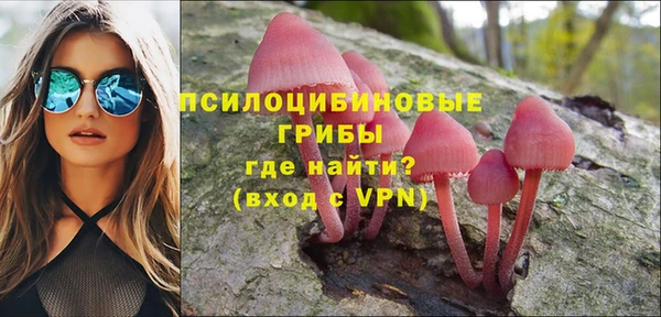 индика Баксан