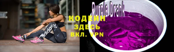 индика Баксан
