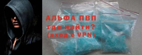 индика Баксан