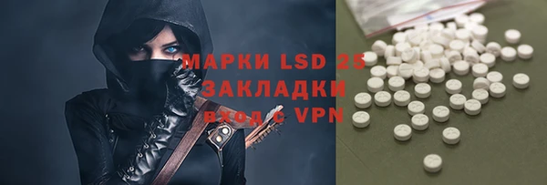 индика Баксан
