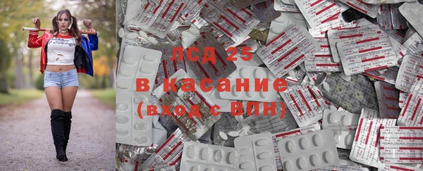 индика Баксан